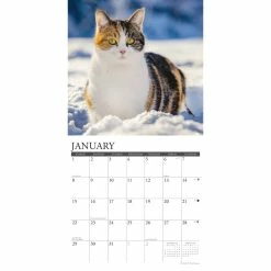 New ๐ 2023 Just Cats Wall Calendar by Willow Creek Press ๐ฏ 6 New ๐ 2023 Just Cats Wall Calendar by Willow Creek Press ๐ฏ -Cheap Willow Creek Press Store D670013S 3