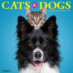 Cheap ๐คฉ 2023 Cats & ๐ถ Dogs Wall Calendar by Willow Creek Press ๐