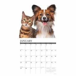 Cheap 🤩 2023 Cats & 🐶 Dogs Wall Calendar by Willow Creek Press 🌟 6 Cheap 🤩 2023 Cats & 🐶 Dogs Wall Calendar by Willow Creek Press 🌟 -Cheap Willow Creek Press Store D670014S 3