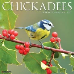 Cheap Willow Creek Press Store 4 Deals ❤️ 2023 Chickadees Wall Calendar by Willow Creek Press 😉