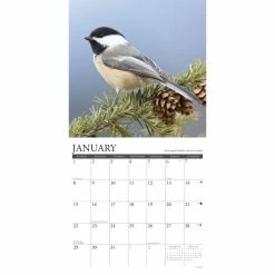Deals ❤️ 2023 Chickadees Wall Calendar by Willow Creek Press 😉 6 Deals ❤️ 2023 Chickadees Wall Calendar by Willow Creek Press 😉 -Cheap Willow Creek Press Store D670015S 3