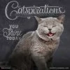 Cheapest ✔️ 2023 Catspirations Wall Calendar by Willow Creek Press ✨