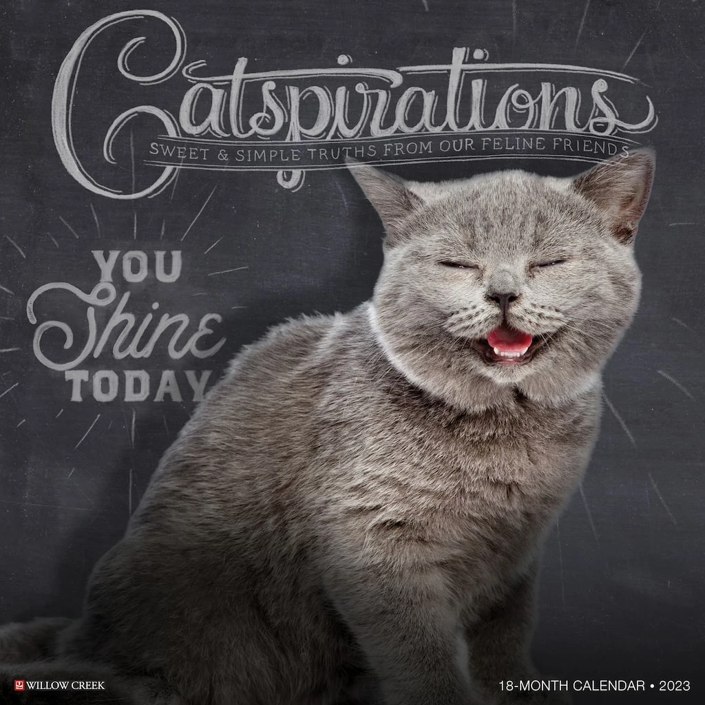 Cheapest ✔️ 2023 Catspirations Wall Calendar by Willow Creek Press ✨ 1 Cheapest ✔️ 2023 Catspirations Wall Calendar by Willow Creek Press ✨