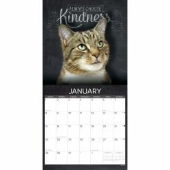 Cheapest ✔️ 2023 Catspirations Wall Calendar by Willow Creek Press ✨ 6 Cheapest ✔️ 2023 Catspirations Wall Calendar by Willow Creek Press ✨ -Cheap Willow Creek Press Store D670017S 3