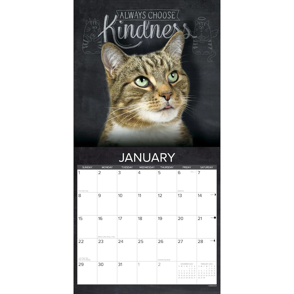 Cheapest ✔️ 2023 Catspirations Wall Calendar by Willow Creek Press ✨ 3 Cheapest ✔️ 2023 Catspirations Wall Calendar by Willow Creek Press ✨ - Image 3