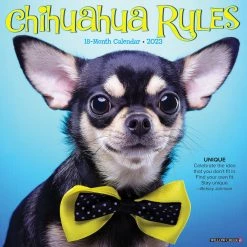 Best Pirce 😉 2023 Chihuahua Rules Wall Calendar by Willow Creek Press 👍