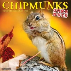 New 👏 2023 Chipmunks Gone Nuts! Wall Calendar by Willow Creek Press 😍