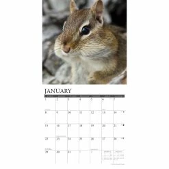 New 👏 2023 Chipmunks Gone Nuts! Wall Calendar by Willow Creek Press 😍 -Cheap Willow Creek Press Store D670022S 3