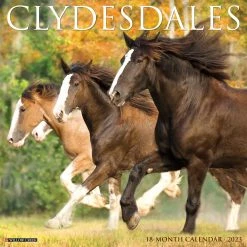 Budget โค๏ธ 2023 Clydesdales Wall Calendar by Willow Creek Press ๐งจ