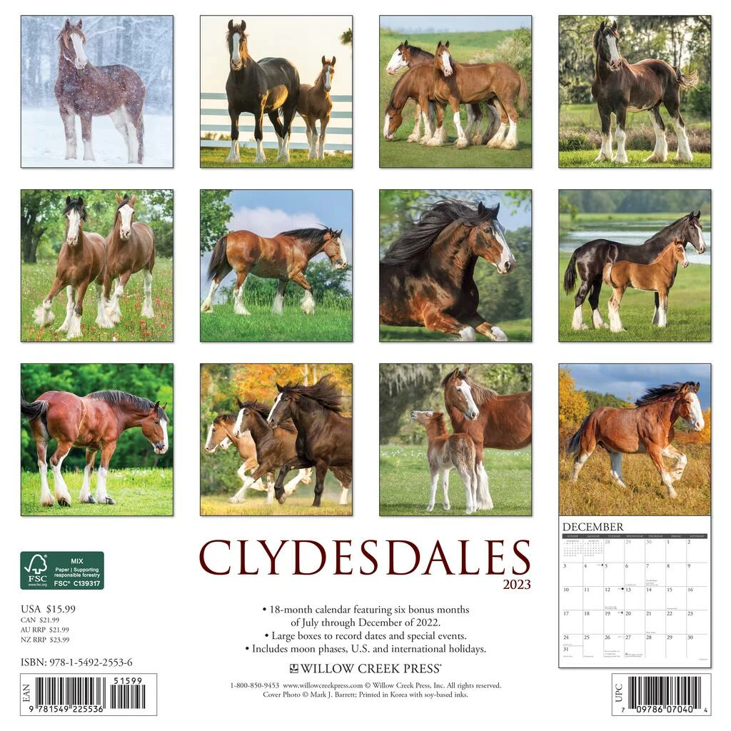 Budget ❤️ 2023 Clydesdales Wall Calendar by Willow Creek Press 🧨 2 Budget ❤️ 2023 Clydesdales Wall Calendar by Willow Creek Press 🧨 - Image 2