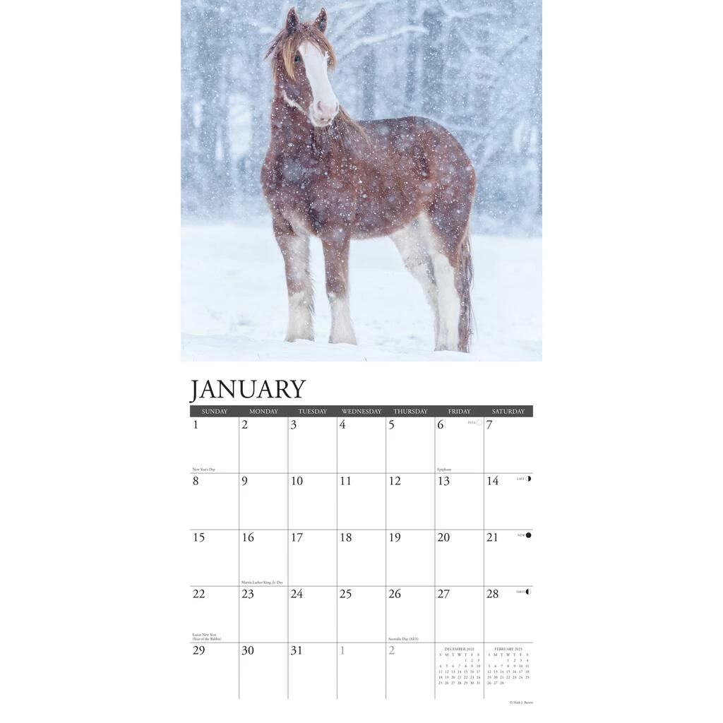 Budget ❤️ 2023 Clydesdales Wall Calendar by Willow Creek Press 🧨 3 Budget ❤️ 2023 Clydesdales Wall Calendar by Willow Creek Press 🧨 - Image 3