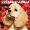 Outlet 💯 2023 Just Cocker Spaniels Wall Calendar by Willow Creek Press ✨