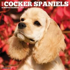 Outlet 💯 2023 Just Cocker Spaniels Wall Calendar by Willow Creek Press ✨