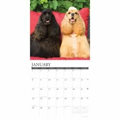 Outlet 💯 2023 Just Cocker Spaniels Wall Calendar by Willow Creek Press ✨ -Cheap Willow Creek Press Store D670036S 3