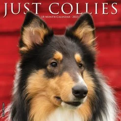 Discount ๐ 2023 Just Collies Wall Calendar by Willow Creek Press ๐งจ