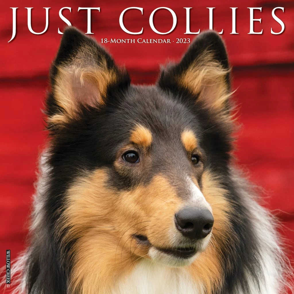 Discount ๐ 2023 Just Collies Wall Calendar by Willow Creek Press ๐งจ 1 Discount ๐ 2023 Just Collies Wall Calendar by Willow Creek Press ๐งจ