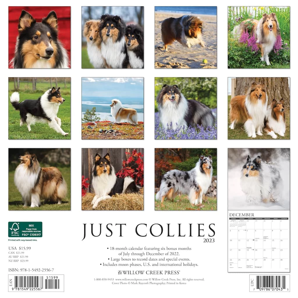 Discount ๐ 2023 Just Collies Wall Calendar by Willow Creek Press ๐งจ 2 Discount ๐ 2023 Just Collies Wall Calendar by Willow Creek Press ๐งจ - Image 2