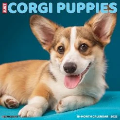 Deals 🤩 2023 Just Corgi Puppies Wall Calendar by Willow Creek Press ✨