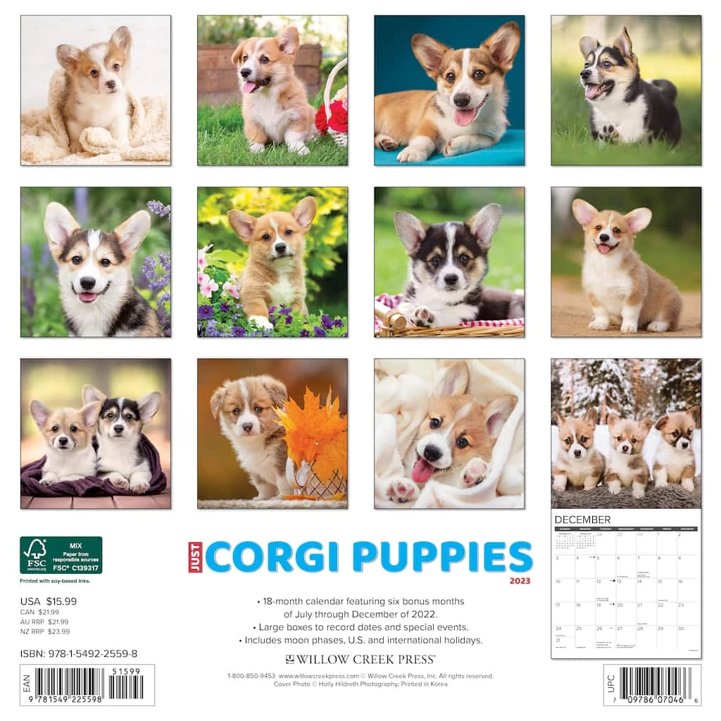 Deals 🤩 2023 Just Corgi Puppies Wall Calendar by Willow Creek Press ✨ 2 Deals 🤩 2023 Just Corgi Puppies Wall Calendar by Willow Creek Press ✨ - Image 2