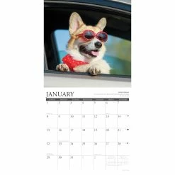 Flash Sale ❤️ 2023 Corgi Rules Wall Calendar by Willow Creek Press 🧨 -Cheap Willow Creek Press Store D670040S 3