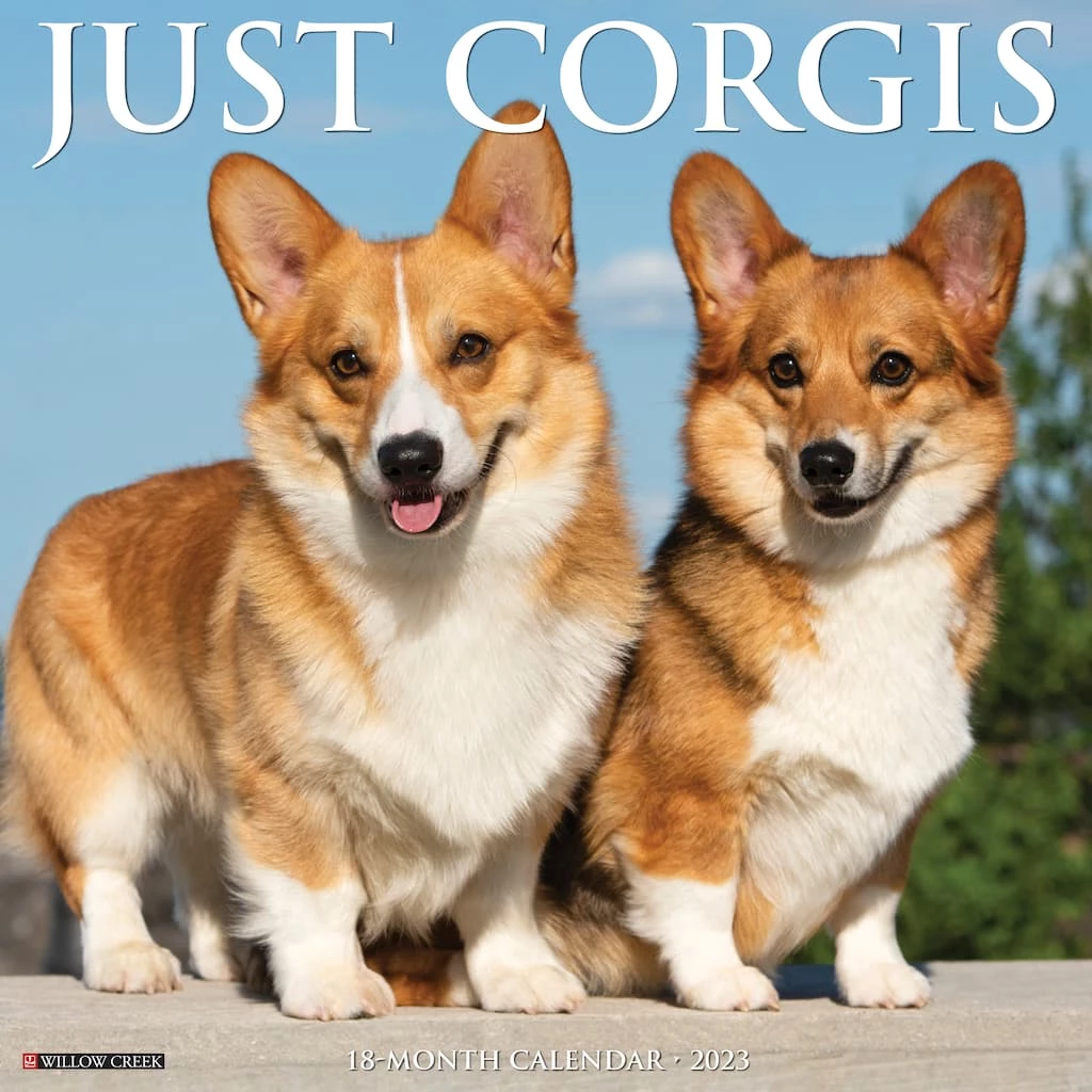Best Sale 😉 2023 Just Corgis Wall Calendar by Willow Creek Press 🎁 1 Best Sale 😉 2023 Just Corgis Wall Calendar by Willow Creek Press 🎁
