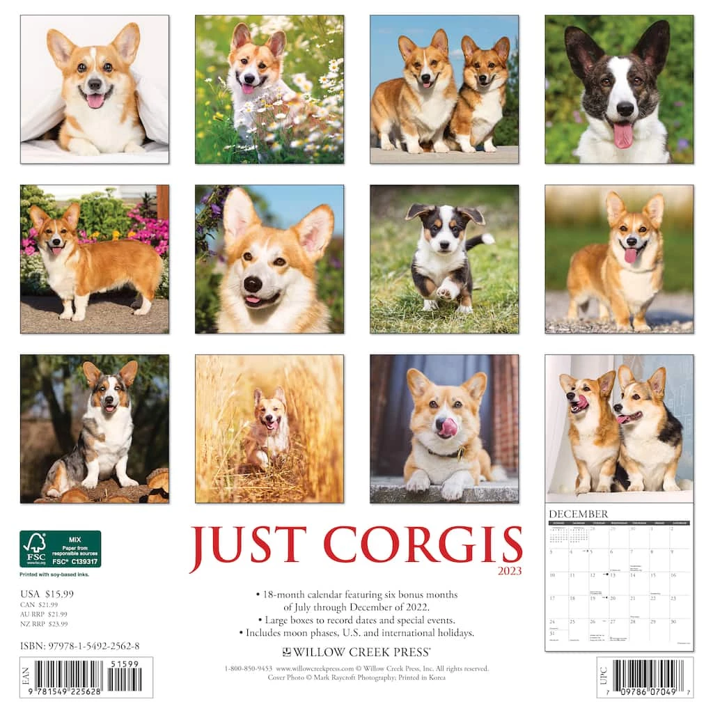 Best Sale 😉 2023 Just Corgis Wall Calendar by Willow Creek Press 🎁 2 Best Sale 😉 2023 Just Corgis Wall Calendar by Willow Creek Press 🎁 - Image 2