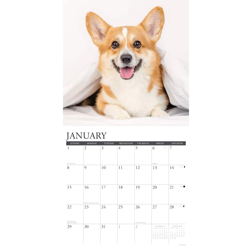 Best Sale 😉 2023 Just Corgis Wall Calendar by Willow Creek Press 🎁 3 Best Sale 😉 2023 Just Corgis Wall Calendar by Willow Creek Press 🎁 - Image 3