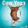 Hot Sale 😉 2023 Cow Yoga Wall Calendar by Willow Creek Press 🌟