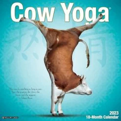 Hot Sale 😉 2023 Cow Yoga Wall Calendar by Willow Creek Press 🌟
