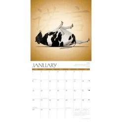 Hot Sale 😉 2023 Cow Yoga Wall Calendar by Willow Creek Press 🌟 -Cheap Willow Creek Press Store D670044S 3