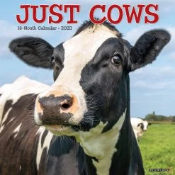 Top 10 🥰 2023 Just Cows Wall Calendar by Willow Creek Press 🥰