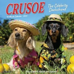 Wholesale ✔️ 2023 Crusoe the Celebrity Dachshund Wall Calendar by Willow Creek Press ⌛