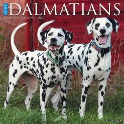 Hot Sale 😍 2023 Just Dalmatians Wall Calendar by Willow Creek Press 👍