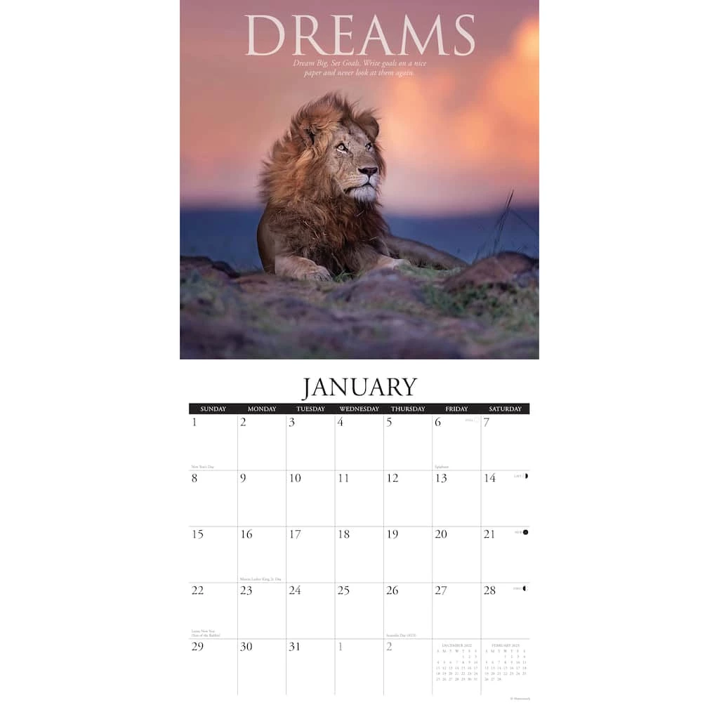 Top 10 β¨ 2023 Demotivationals Wall Calendar by Willow Creek Press π 3 Top 10 β¨ 2023 Demotivationals Wall Calendar by Willow Creek Press π - Image 3