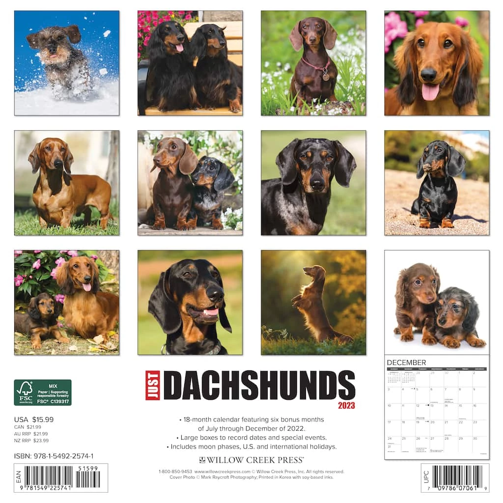 Flash Sale ❤️ 2023 Just Dachshunds Wall Calendar by Willow Creek Press 🧨 2 Flash Sale ❤️ 2023 Just Dachshunds Wall Calendar by Willow Creek Press 🧨 - Image 2