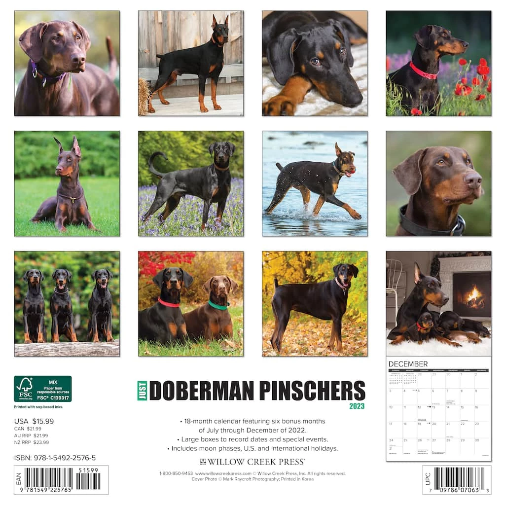 Buy 💯 2023 Just Doberman Pinschers Wall Calendar by Willow Creek Press 🥰 2 Buy 💯 2023 Just Doberman Pinschers Wall Calendar by Willow Creek Press 🥰 - Image 2