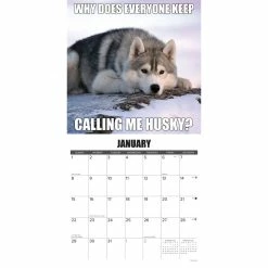 Best Pirce 🤩 2023 🐶 Dog-Gone-It Wall Calendar by Willow Creek Press 👏 -Cheap Willow Creek Press Store D670054S 3