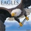 Hot Sale ✨ 2023 Eagles Wall Calendar by Willow Creek Press 🎁