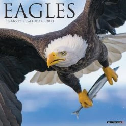 Hot Sale ✨ 2023 Eagles Wall Calendar by Willow Creek Press 🎁