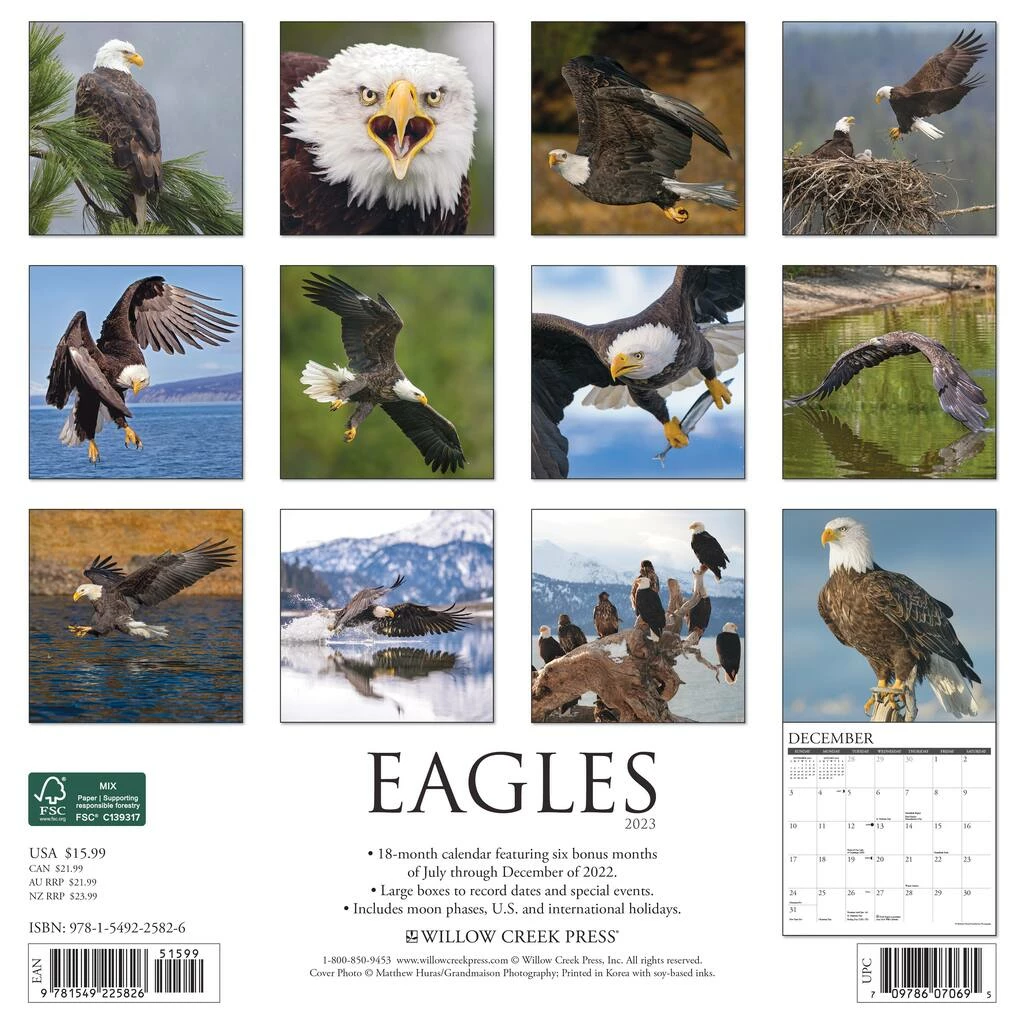 Hot Sale โจ 2023 Eagles Wall Calendar by Willow Creek Press ๐ 2 Hot Sale โจ 2023 Eagles Wall Calendar by Willow Creek Press ๐ - Image 2