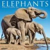Best Pirce 🌟 2023 Elephants Wall Calendar by Willow Creek Press ⌛