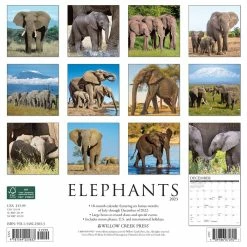 Cheap Willow Creek Press Store -Cheap Willow Creek Press Store D670059S 2