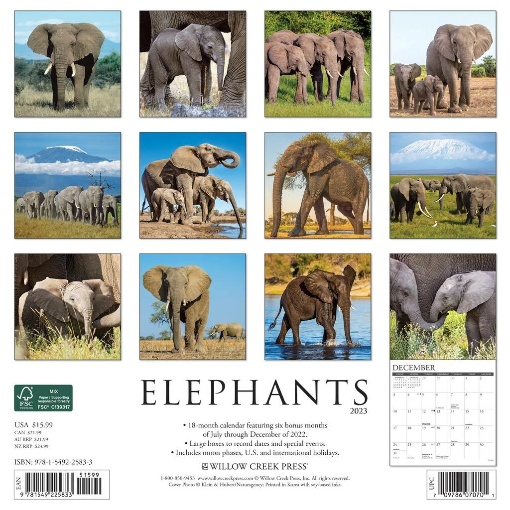 Best Pirce 🌟 2023 Elephants Wall Calendar by Willow Creek Press ⌛ 2 Best Pirce 🌟 2023 Elephants Wall Calendar by Willow Creek Press ⌛ - Image 2