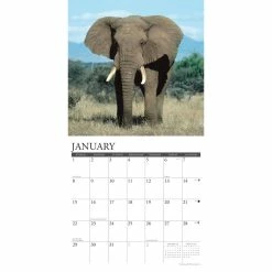 Best Pirce 🌟 2023 Elephants Wall Calendar by Willow Creek Press ⌛ 6 Best Pirce 🌟 2023 Elephants Wall Calendar by Willow Creek Press ⌛ -Cheap Willow Creek Press Store D670059S 3
