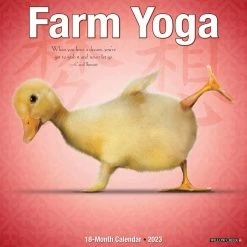 Best reviews of 🔔 2023 Farm Yoga Wall Calendar by Willow Creek Press 👍