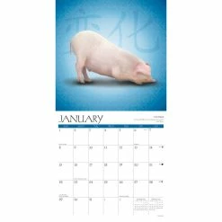 Best reviews of 🔔 2023 Farm Yoga Wall Calendar by Willow Creek Press 👍 -Cheap Willow Creek Press Store D670063S 3