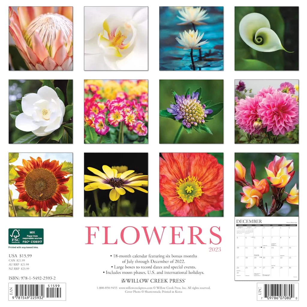 Promo 🛒 2023 Flowers Wall Calendar by Willow Creek Press 😍 2 Promo 🛒 2023 Flowers Wall Calendar by Willow Creek Press 😍 - Image 2
