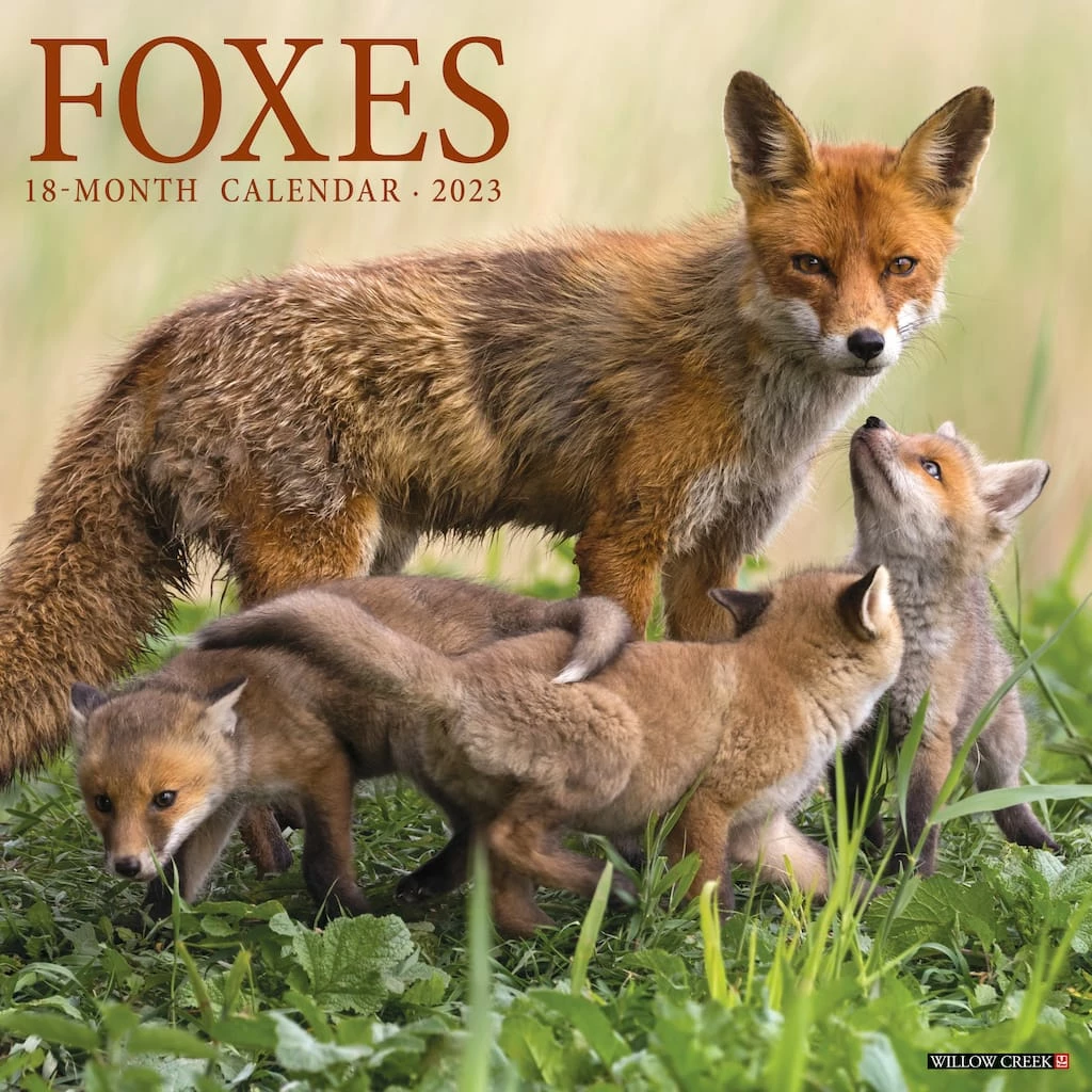 Cheapest 🎉 2023 Foxes Wall Calendar by Willow Creek Press 😉 1 Cheapest 🎉 2023 Foxes Wall Calendar by Willow Creek Press 😉