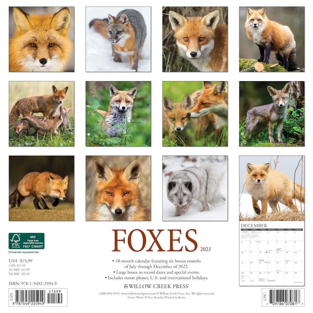 Cheapest 🎉 2023 Foxes Wall Calendar by Willow Creek Press 😉 2 Cheapest 🎉 2023 Foxes Wall Calendar by Willow Creek Press 😉 - Image 2