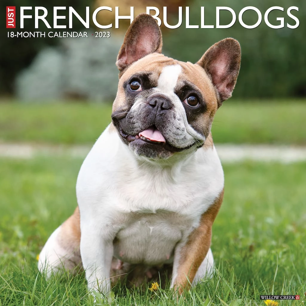 Best reviews of โ๏ธ 2023 Just French Bulldogs Wall Calendar by Willow Creek Press ๐ฅ 1 Best reviews of โ๏ธ 2023 Just French Bulldogs Wall Calendar by Willow Creek Press ๐ฅ